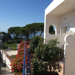 Standard-Doppelzimmer, Balkon | Balkon