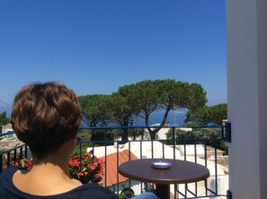 Standard Double Room, Balcony | Terrace/patio