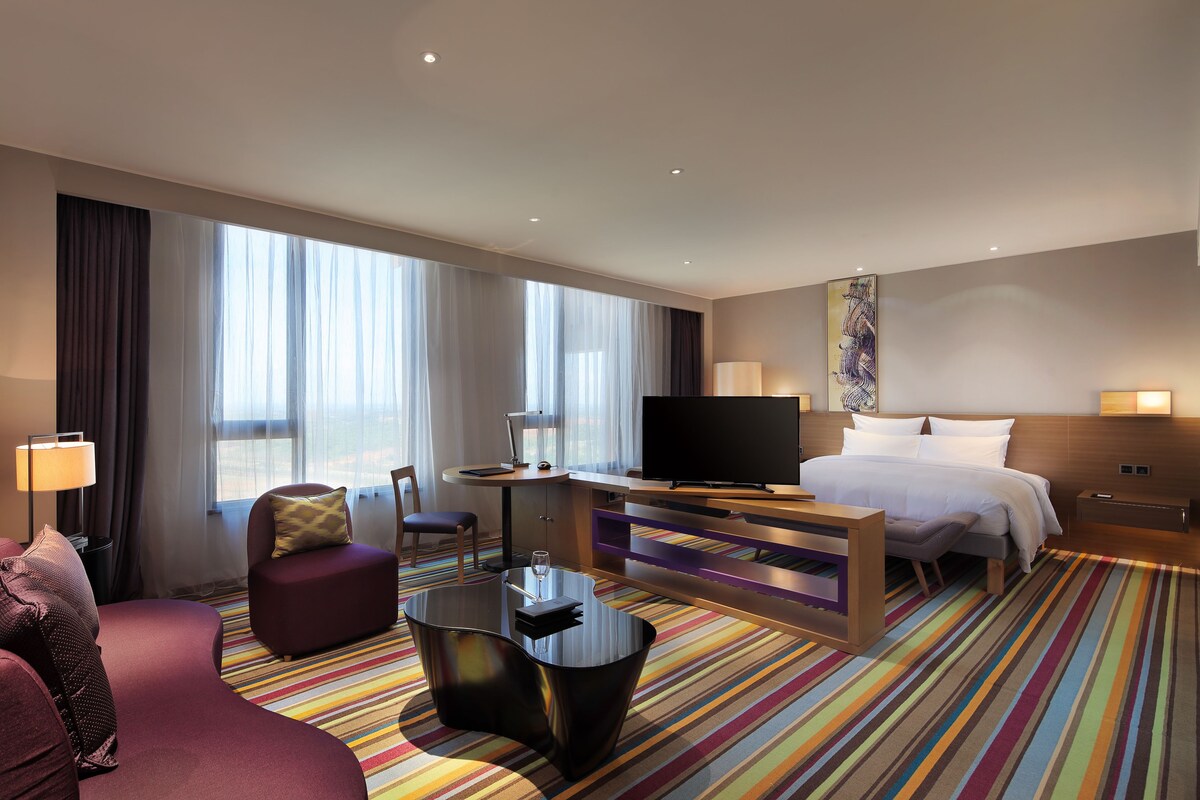 Habitación de hotel moderna con una cama grande, televisión, escritorio y alfombra colorida a rayas.