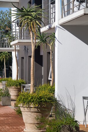 Exterior - WINK Quiver Tree (Stellenbosch)