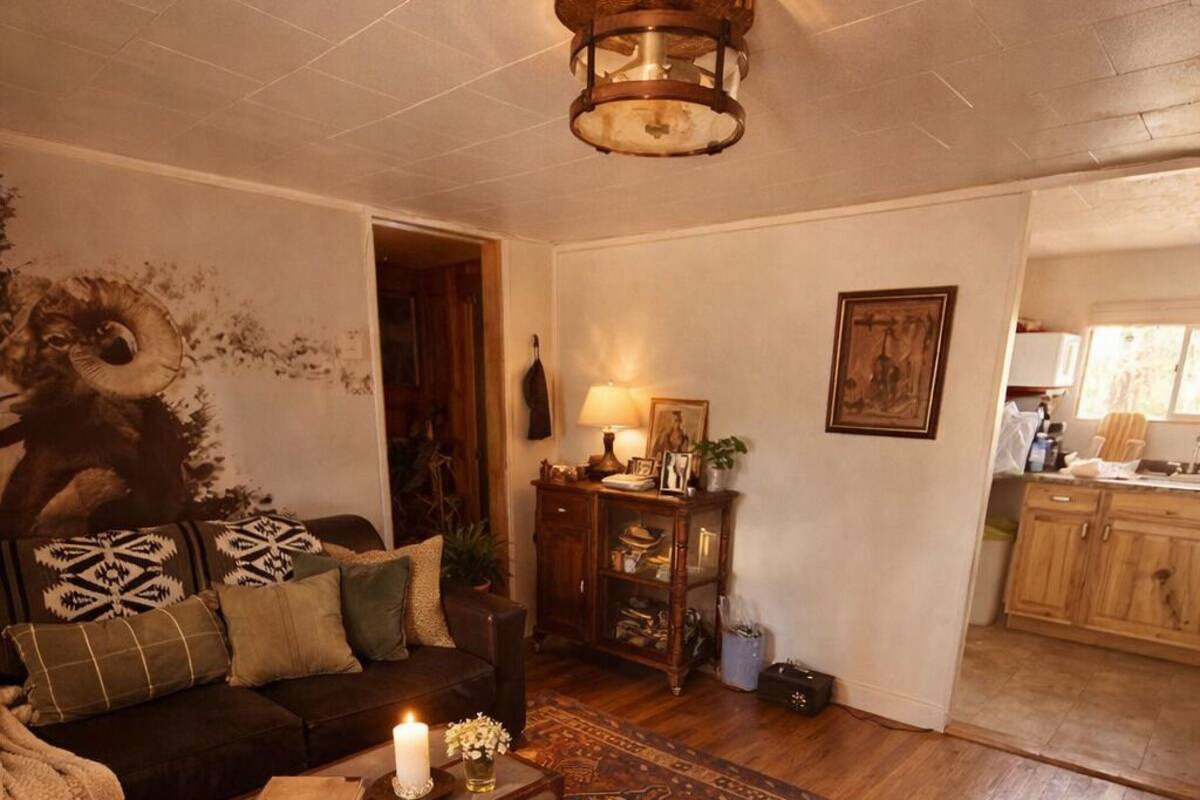 Premium Suite, 2 Bedrooms, Pets Allowed, River View | Living area | 40-inch flat-screen TV with digital channels, streaming services