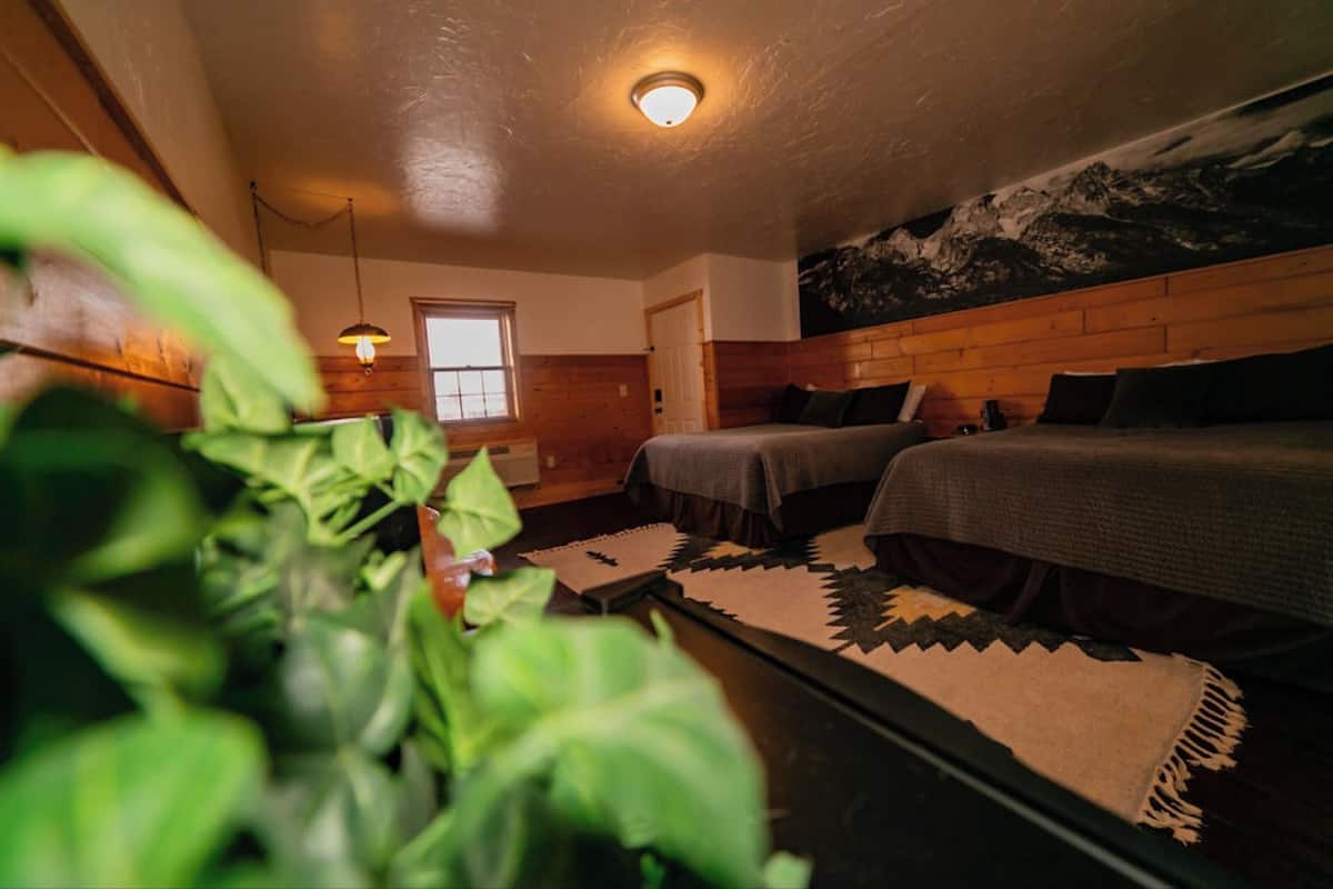 Premium kamer, 2 queensize bedden (Room 15, bottom floor) | 1 slaapkamer, luxe beddengoed, een strijkplank/strijkijzer, gratis wifi