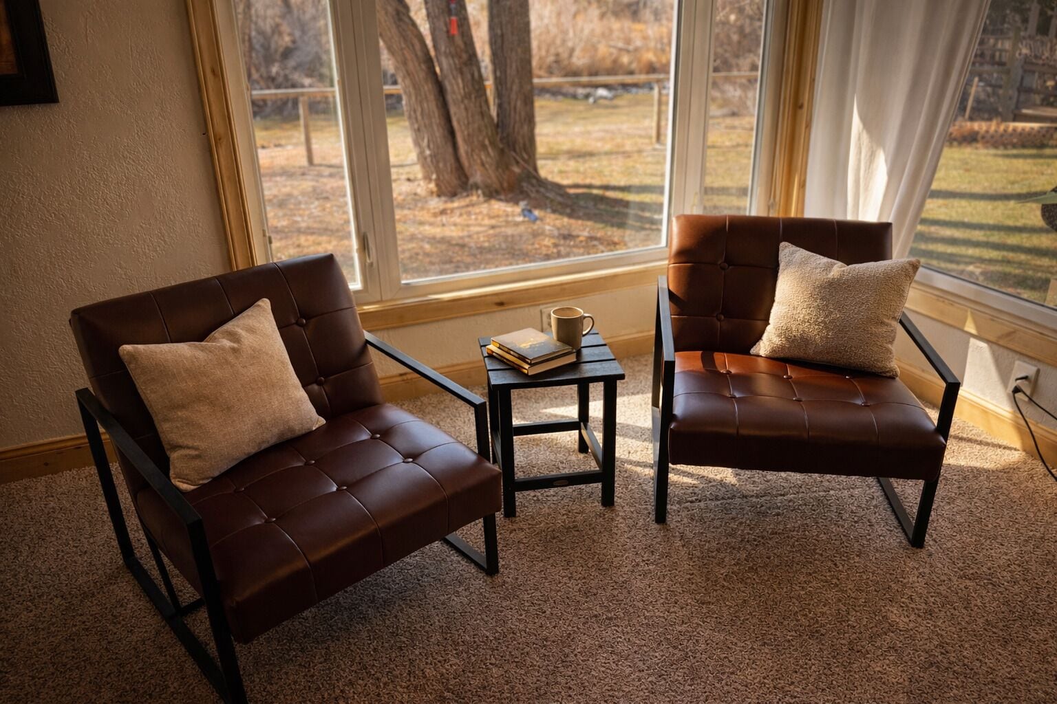 A room with two leather armchairs, a small table with books and a cup, and a large window with a view of trees and grass.