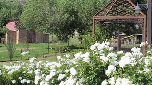 A garden with white roses, a metal pergola, and a stone building in the background. - Oranje Gasteplaas Maloti Route (Fouriesburg)