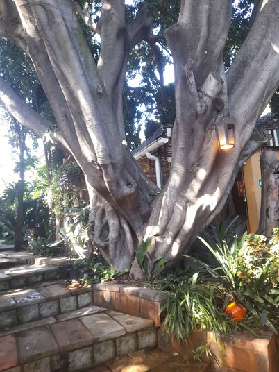 Breena BnB Guest House