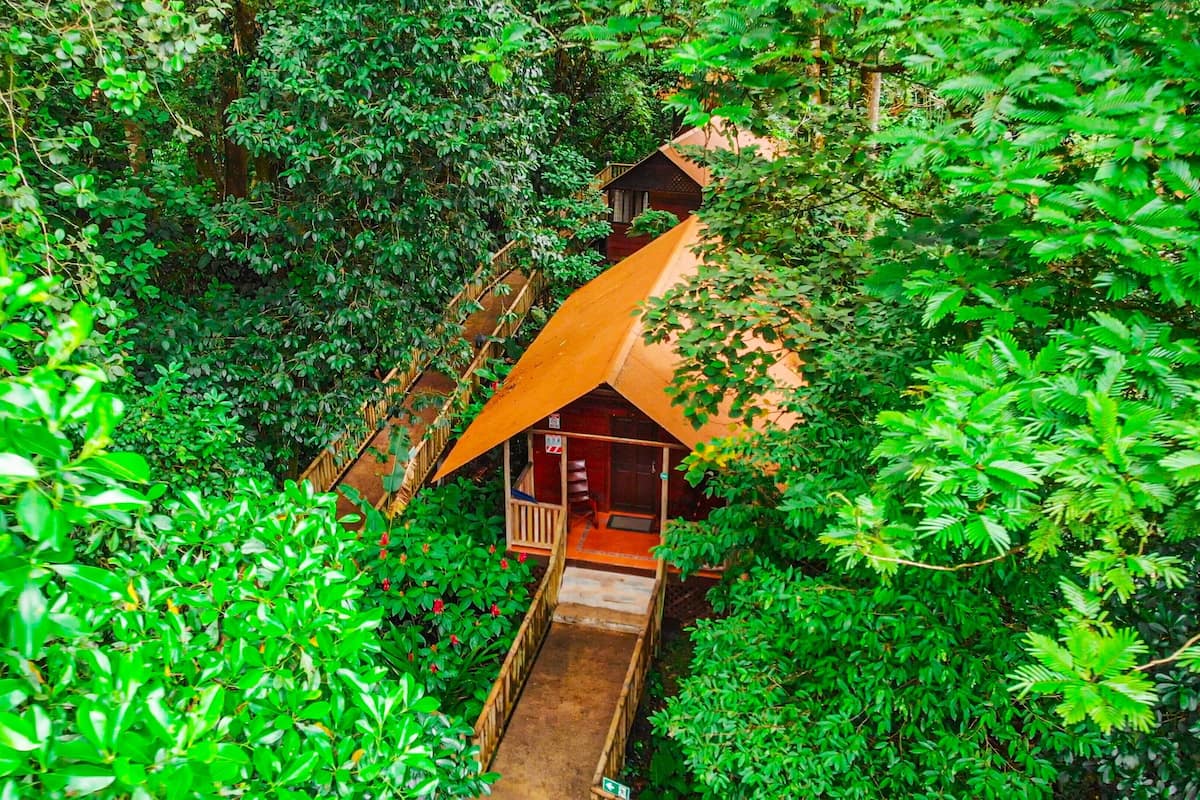 A treehouse with a wooden staircase leading up to a platform.