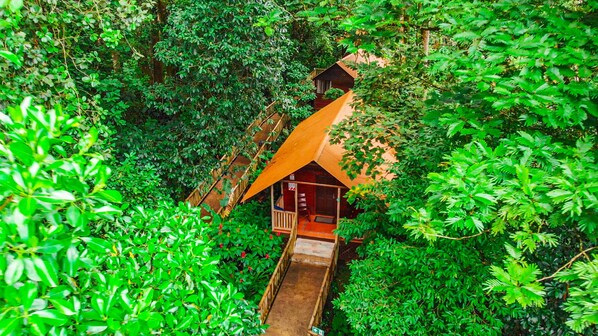 Standard Room | In-room safe, desk, free WiFi, bed sheets - Aninga Lodge (Colorado)