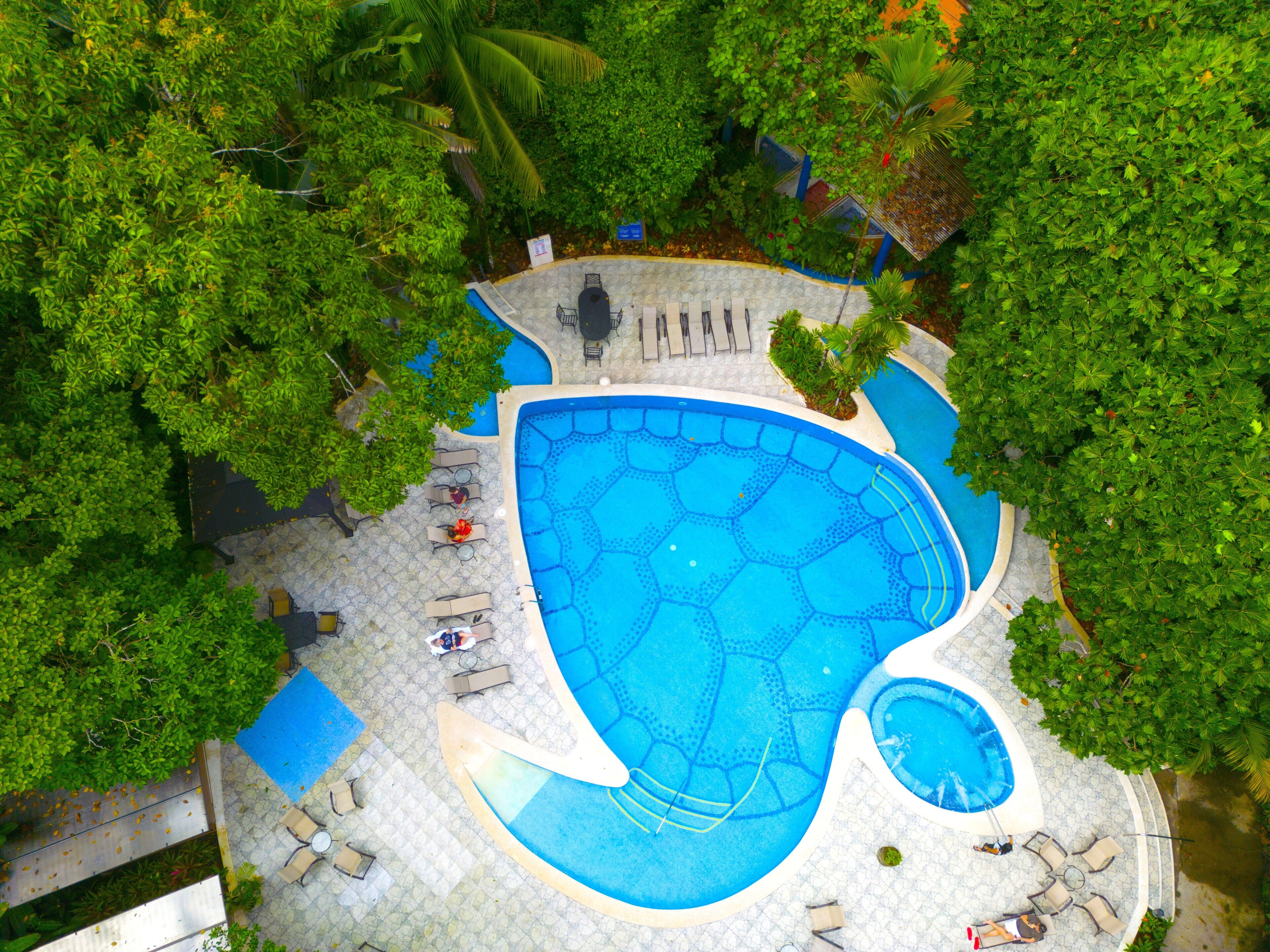 An aerial view of a swimming pool with hexagonal tiles, surrounded by lounge chairs and a small circular pool, set in a landscaped area with dense greenery.