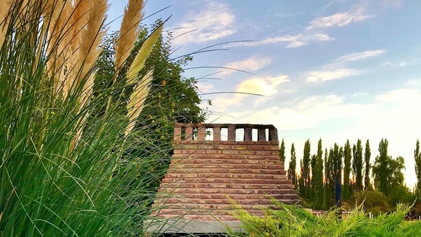 Una edificación de ladrillo con una chimenea, rodeada de pastos altos y árboles.