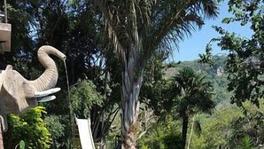 Outdoor pool - Martin's Haven Guest Lodge and Function Venue - Campground (Mbombela)