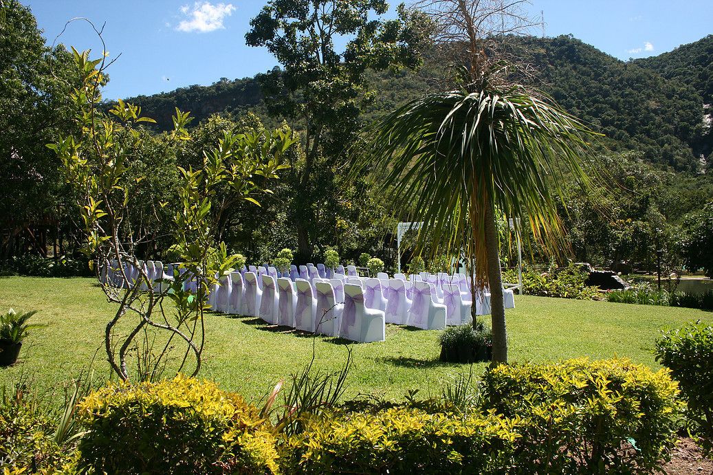 Outdoor wedding area