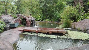 Property grounds - Martin's Haven Guest Lodge and Function Venue - Campground (Mbombela)