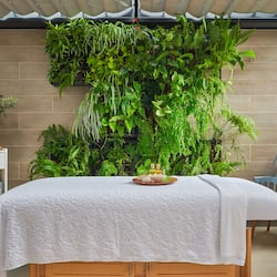 Body treatments, deep-tissue massages, Swedish massages