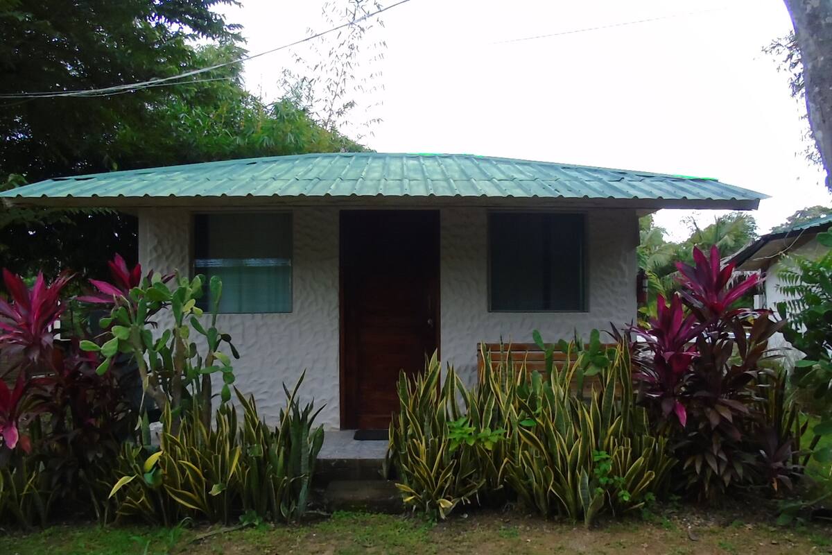A small house with a green roof, a wooden door, and a small porch.