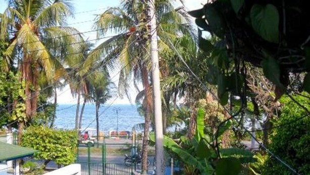 Blick vom Balkon auf einen Strand mit Palmen und einen klaren Blick auf das Meer.
