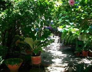 Property grounds - Posada del Sol - Caros Sunshine (Isla de San Andres)