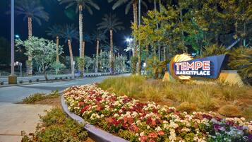 Vue depuis lâhĂ©bergement