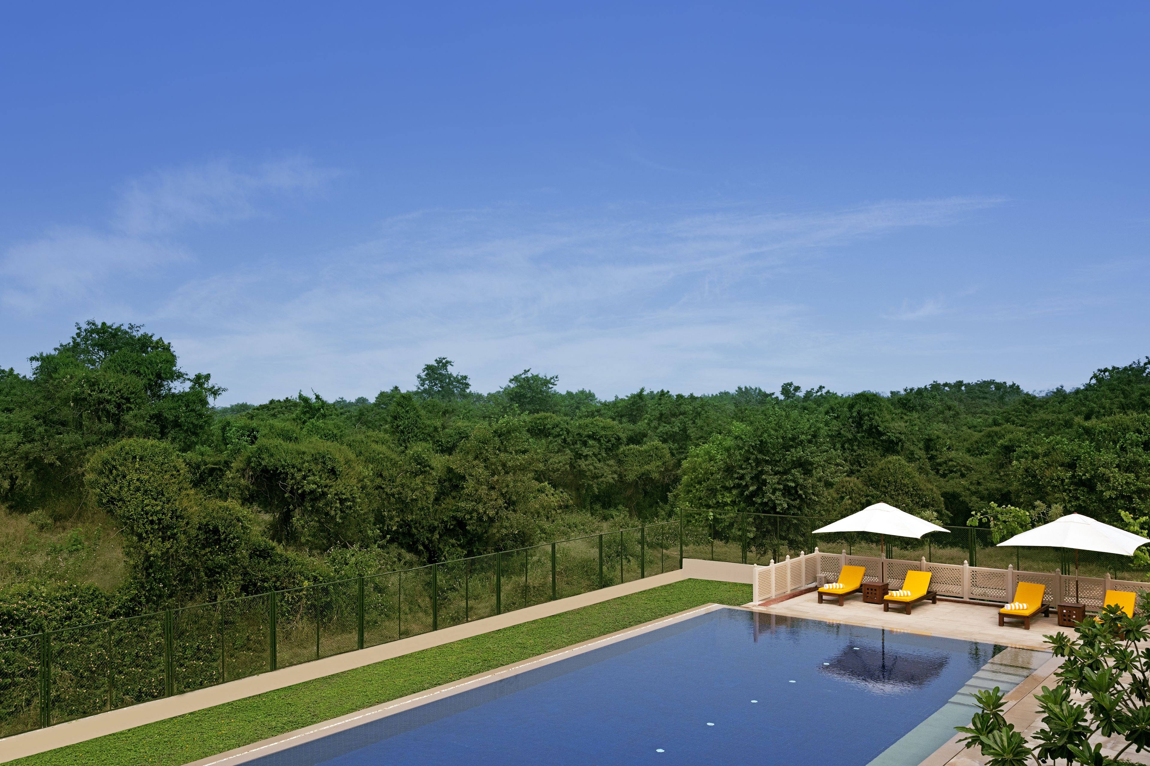 A swimming pool with lounge chairs and umbrellas, surrounded by a fence and lush greenery.