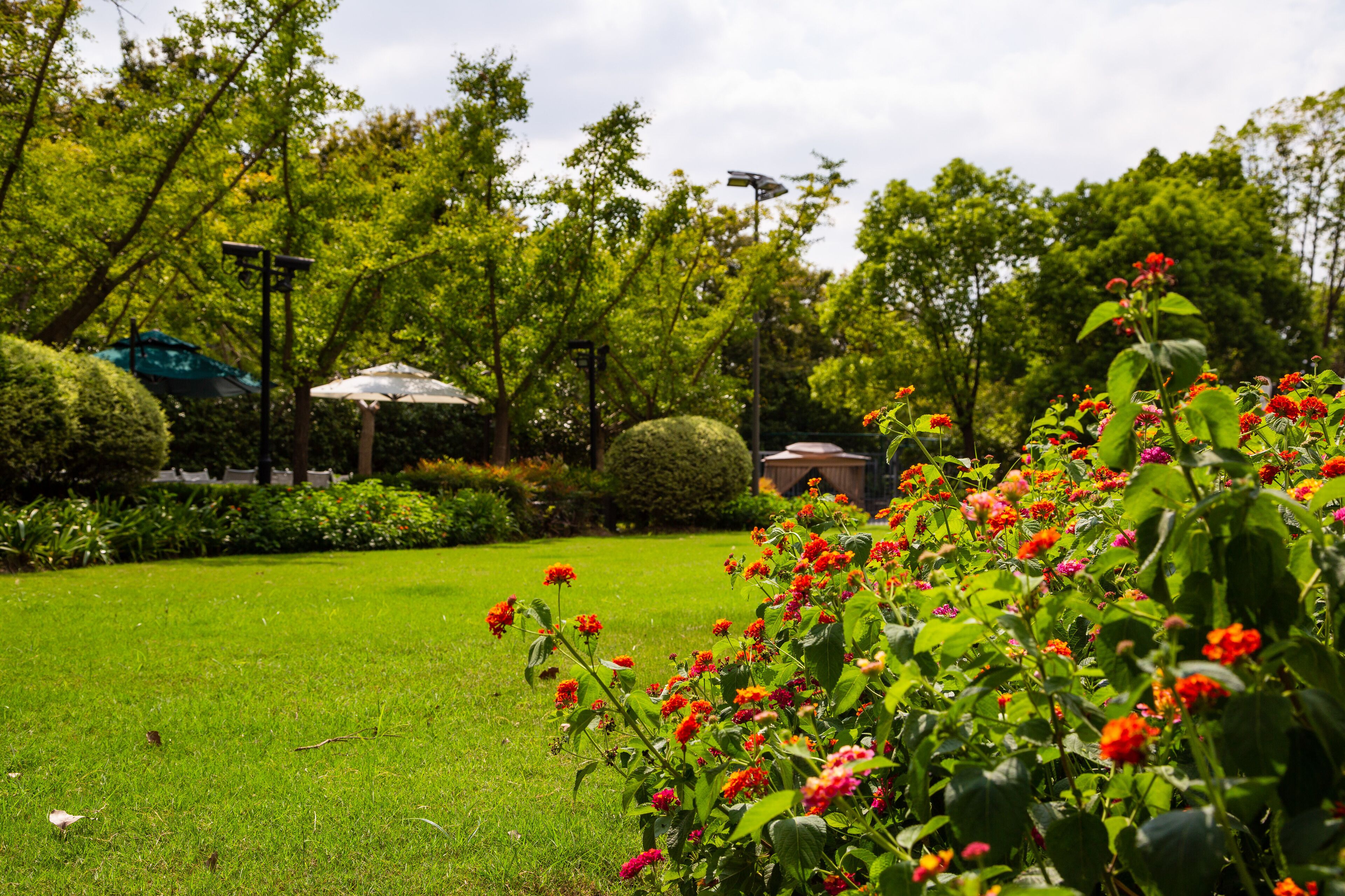 Ein gepflegter Garten mit verschiedenen Blumen und ordentlich geschnittenen Hecken.