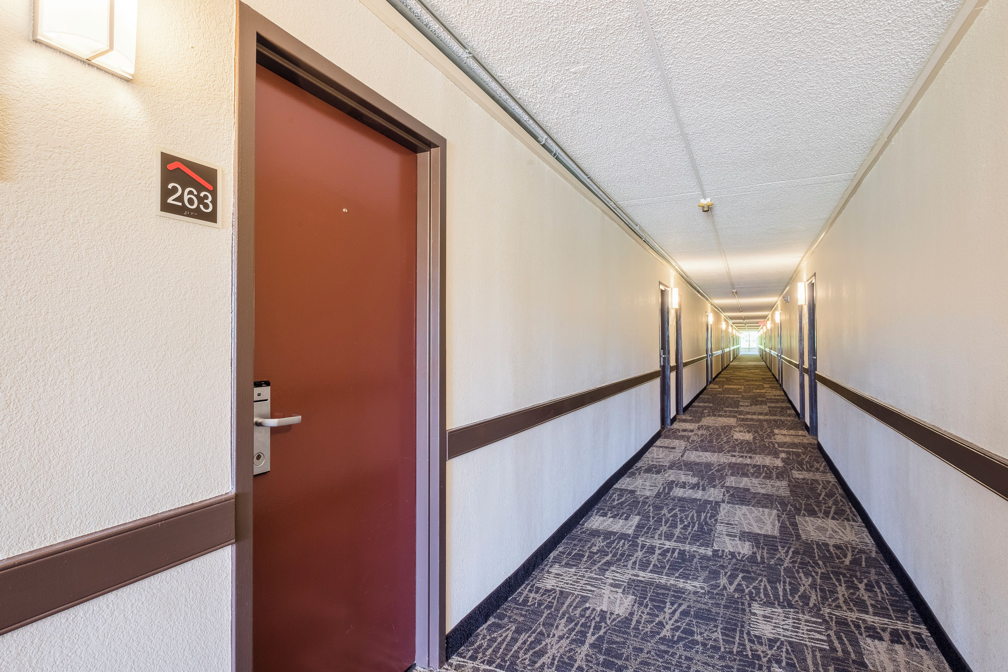 A hotel corridor with a carpeted floor, a door with a number sign, and a hallway leading to a bright end.
