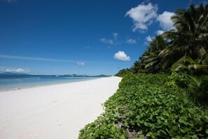 A beach with white sand and green vegetation. - Villas des Alizes (Praslin Island)