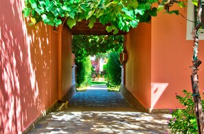 Property grounds - Kyprianos (Zakynthos)