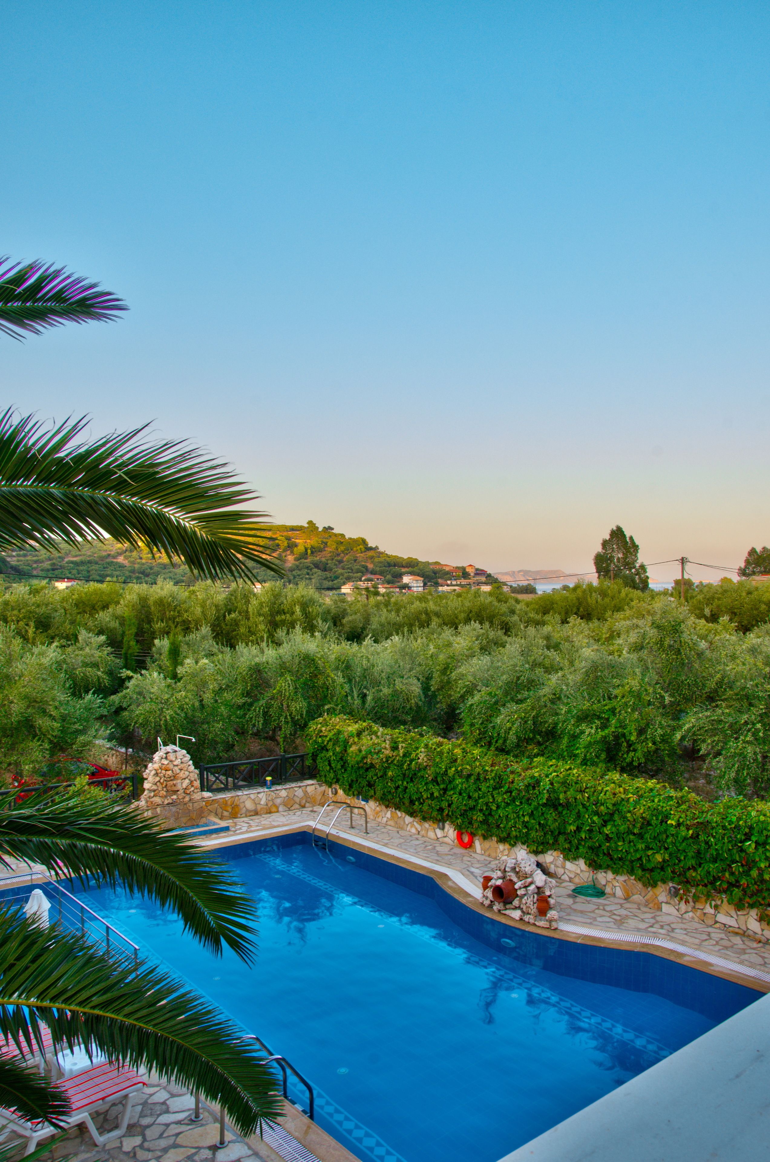 A swimming pool surrounded by lush greenery and a stone wall.