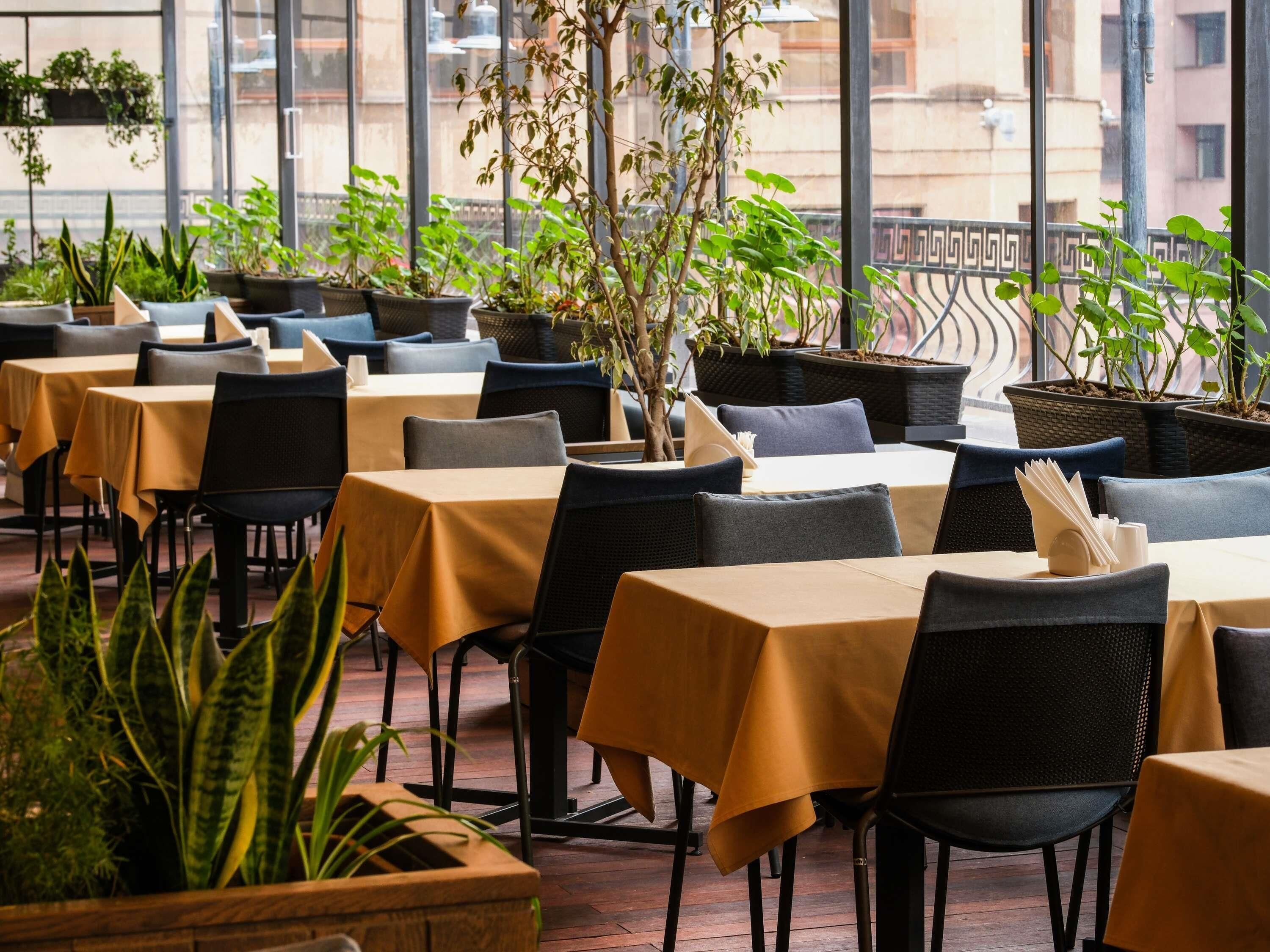 Un restaurante con mesas cubiertas por manteles amarillos, sillas negras y plantas en macetas.