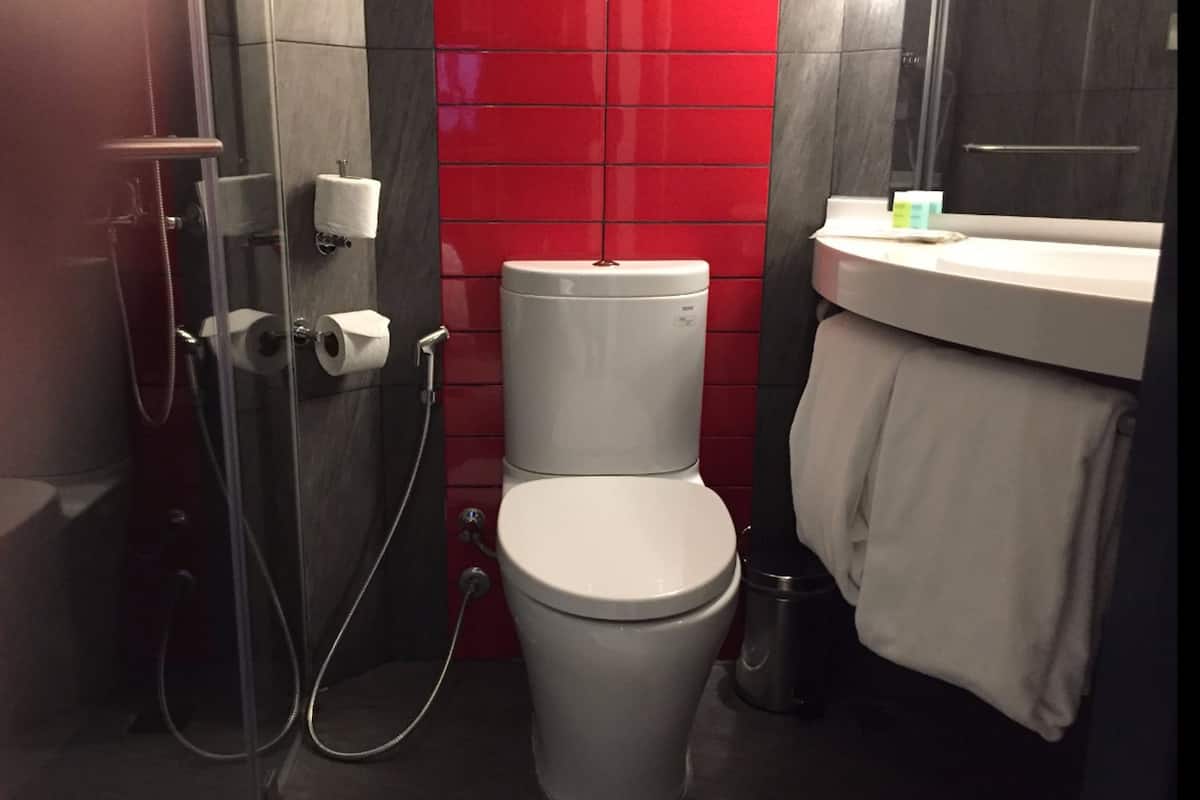 eco-friendly toiletries, hair dryer, slippers, towels