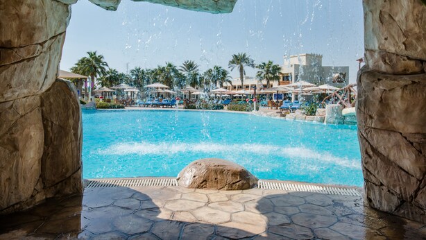 A pool area with clear water, surrounded by palm trees and lounge chairs.