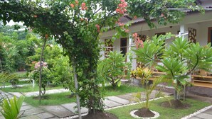 Un jardín con diversas plantas y un sendero que lleva a un edificio.