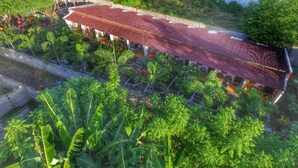 Un edificio tradicional con tejado de baldosas, rodeado de exuberante vegetación y una pequeña laguna.