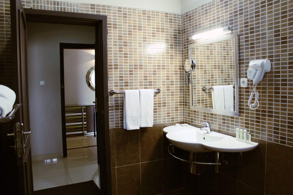 executive room | bathroom sink