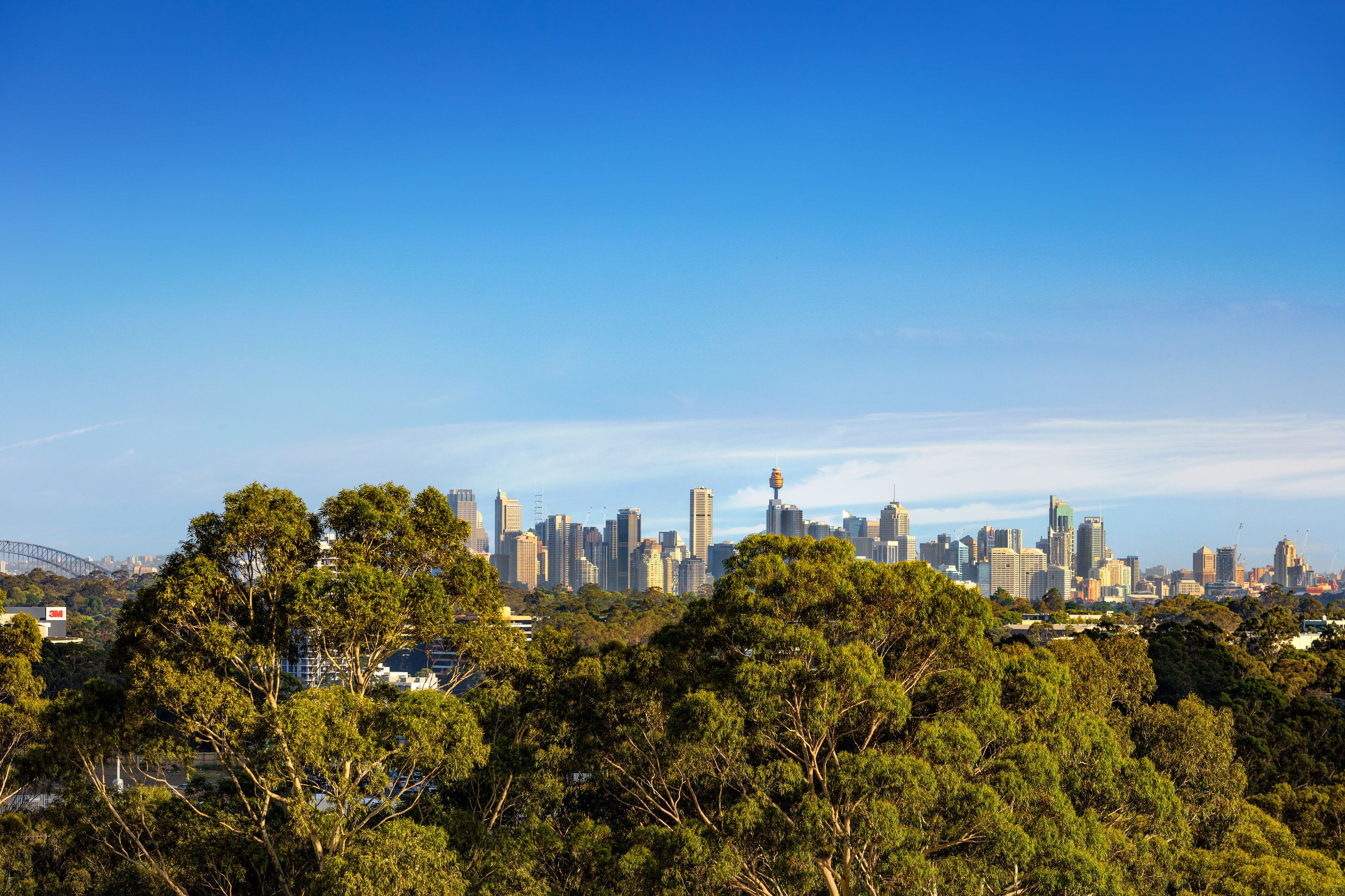 A city skyline with modern buildings, a prominent tower, and a bridge in the background.