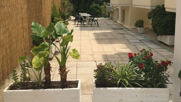 Garden - Manias Apartments (Kos)