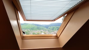 Deluxe Triple Room, Non Smoking, Private Bathroom | View from room - Istanbul Golden Horn (Sarajevo)