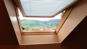 Habitación triple Deluxe, para no fumadores, baño privado | Vista desde la habitación