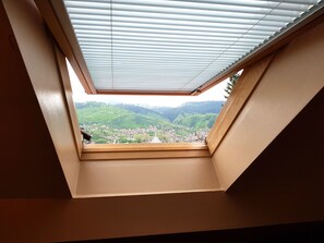 豪華三人房, 非吸煙房, 私人浴室 | 客房景觀