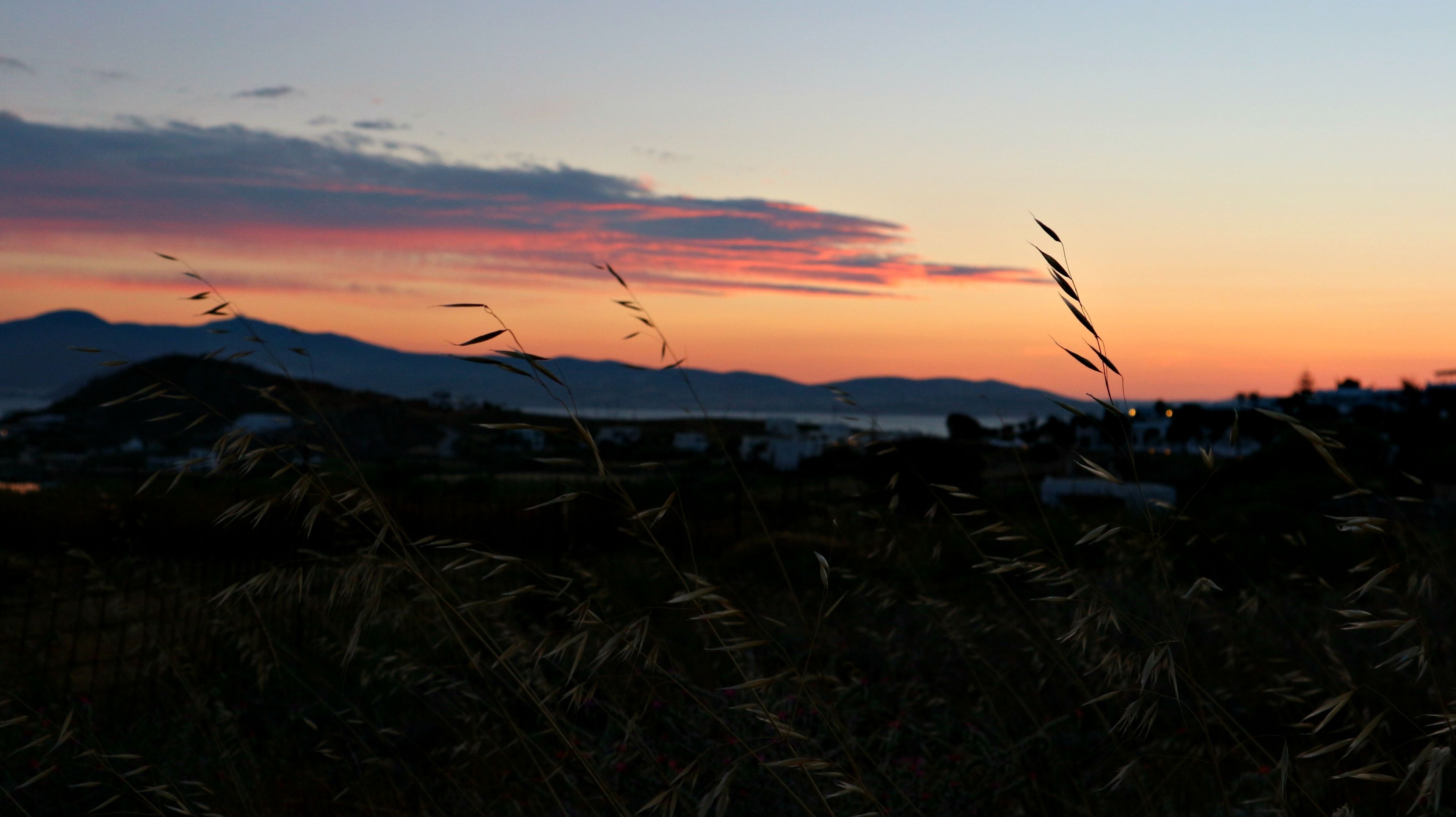 A sunset over a mountainous landscape with a field of tall grasses in the foreground.