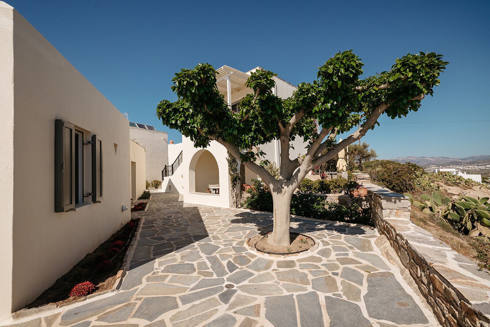 Un patio empedrado con un árbol, edificios blancos y cielo despejado.
