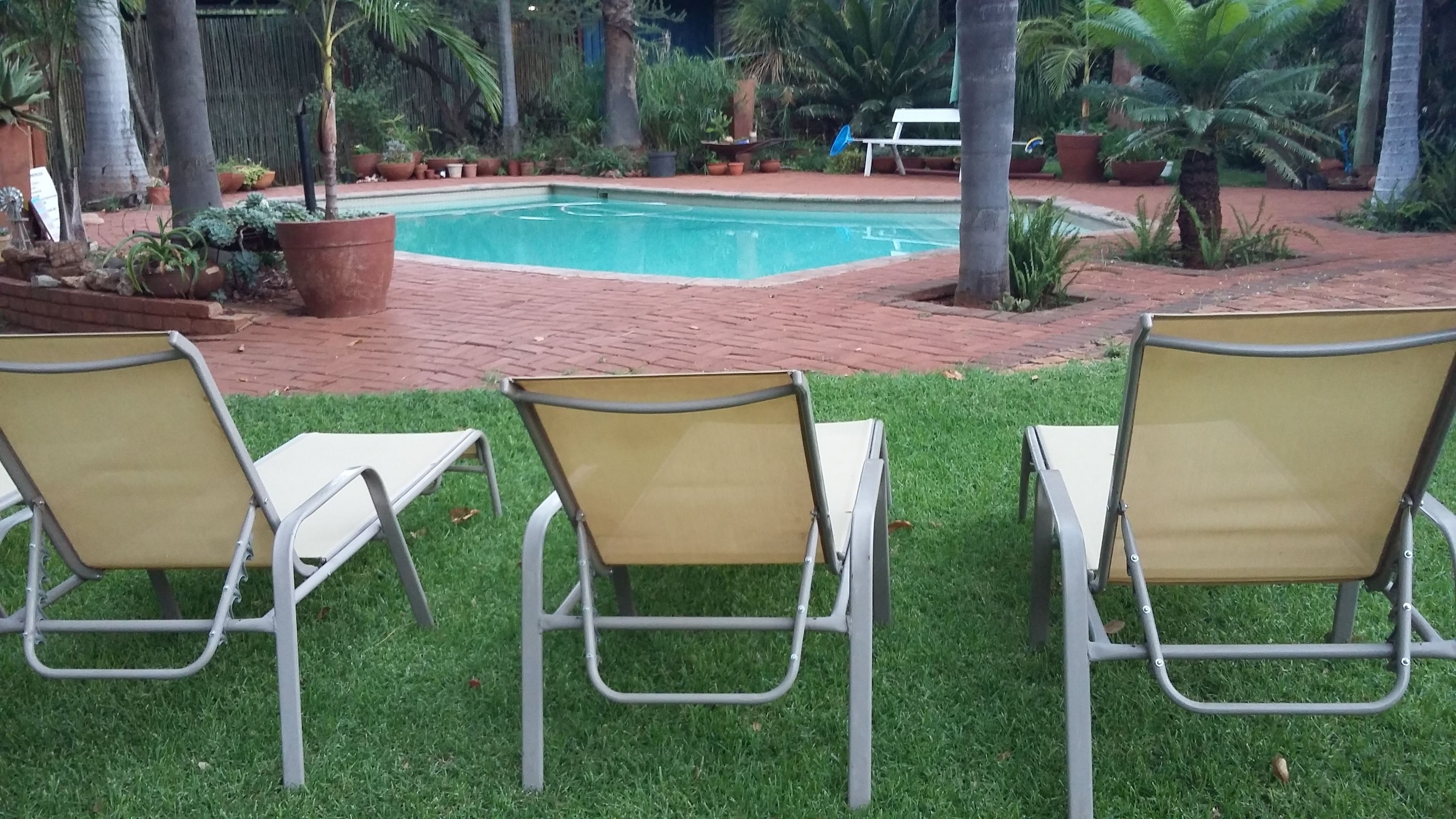 Zona junto a la piscina con tres tumbonas y un camino de ladrillo que conduce a ella.