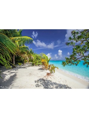 Plage, navette pour la plage