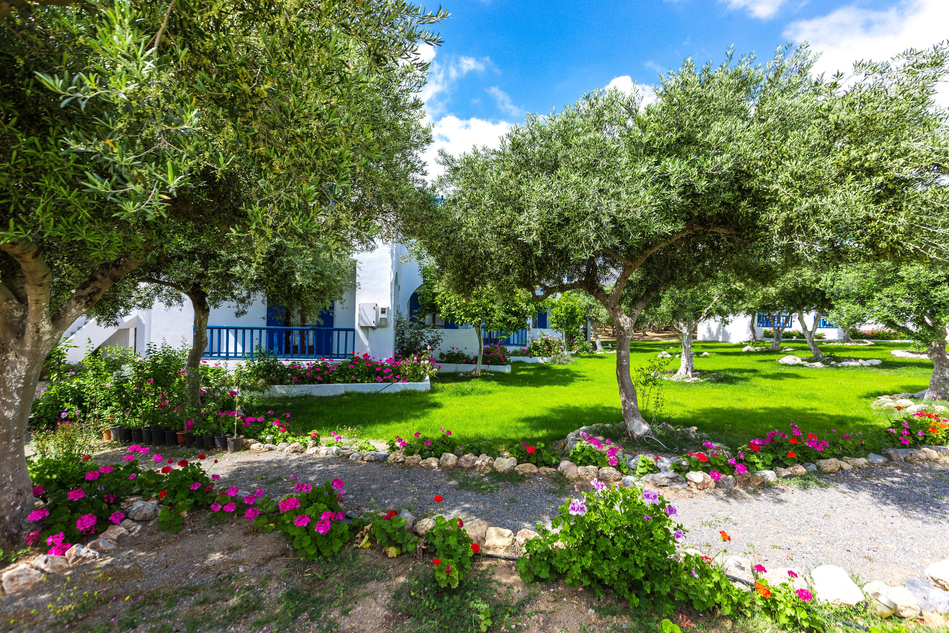 Foto - Fata Morgana Studios & Apartments