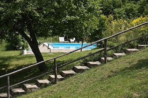 Un espace piscine avec un escalier menant à l’eau, entouré de verdure et agrémenté de quelques chaises longues.