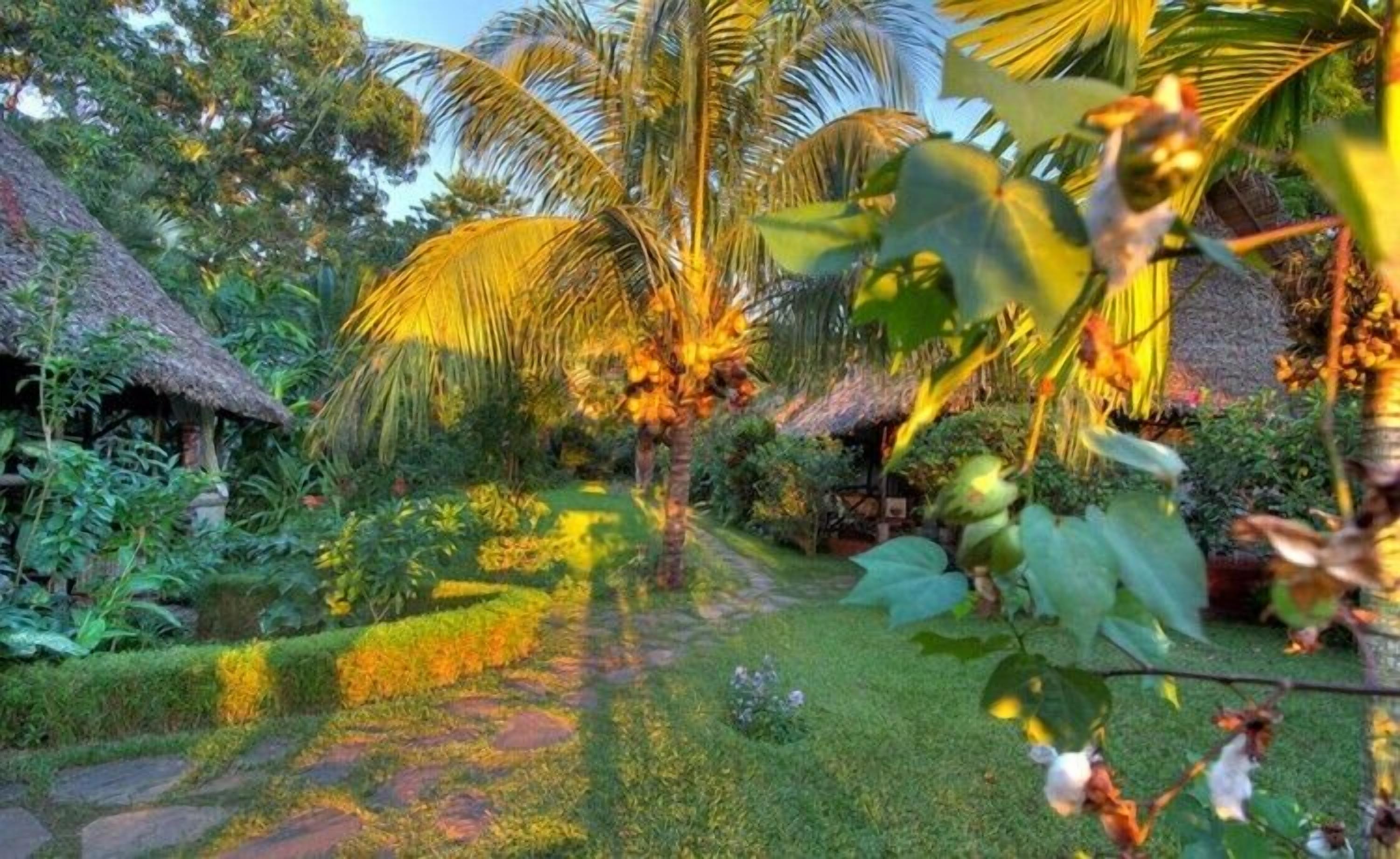 Foto - Clair de Lune