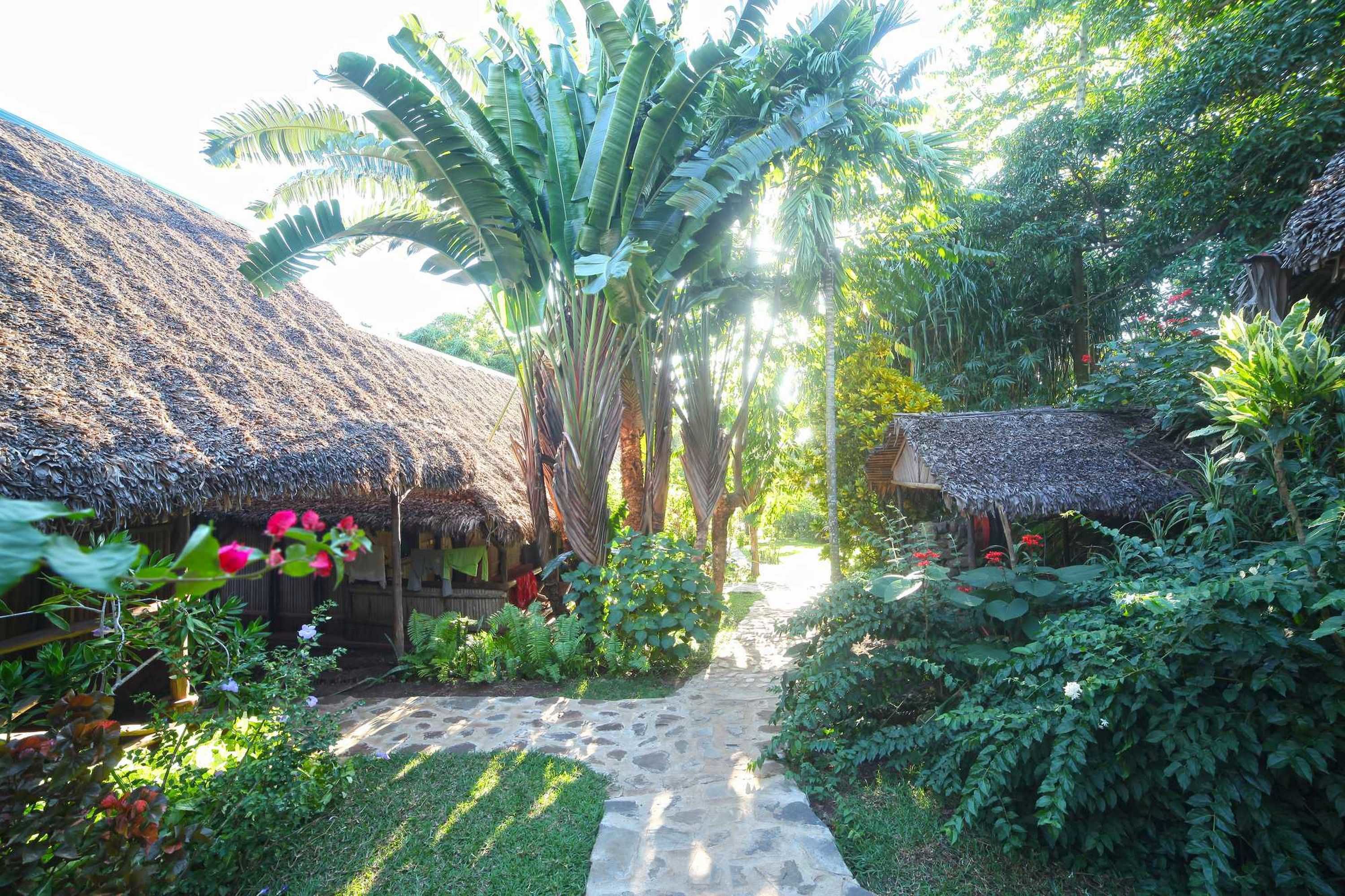 Foto - Clair de Lune