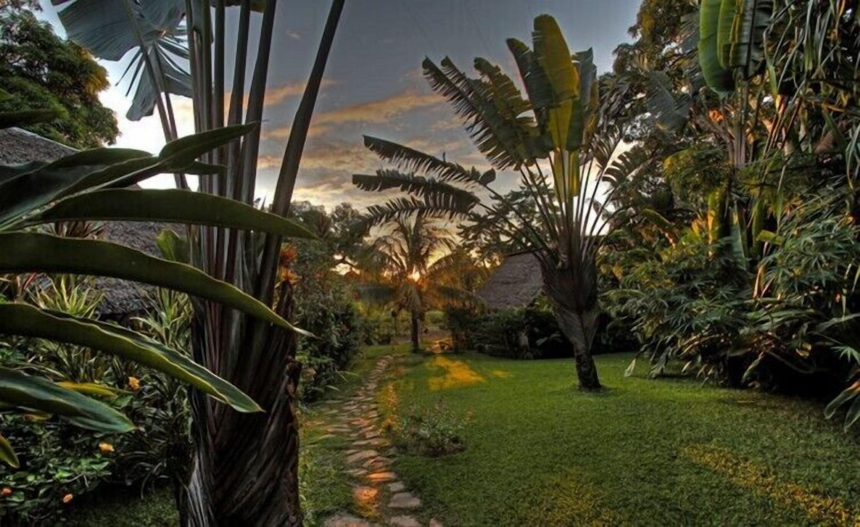 Foto - Clair de Lune