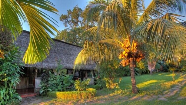 Uma cabana com telhado de palha e um caminho de jardim que a leva até ela, cercada por palmeiras e vegetação exuberante.