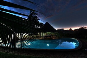 Una piscina con una estructura de techo de paja al fondo, rodeada de vegetación.