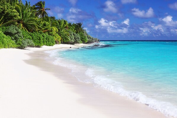 Plage à proximité